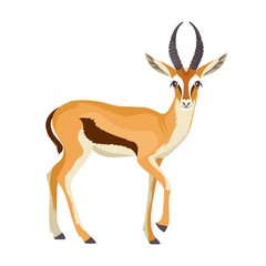 Obraz premium Gazelle or antelope with horn. African mammal animal in wildlife. Vector