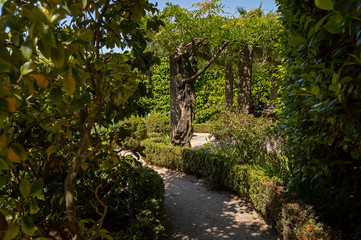 Botanical Garden of Porto, Portugal. Beautiful garden to visit and be in contact with the biodiversity of nature.
