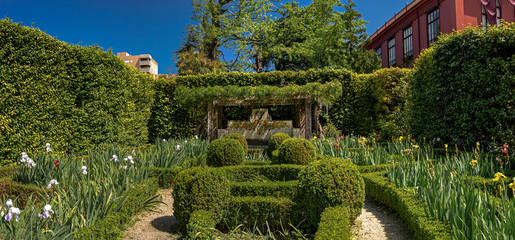 Garden of Jotas from the botanical garden of Porto, Portugal. This garden has a great diversity of...