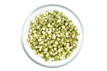 Fresh beans spouts in plate isolated on white background. Sprouted beans top view..