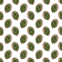 Pressed leaves pattern. Botany background.