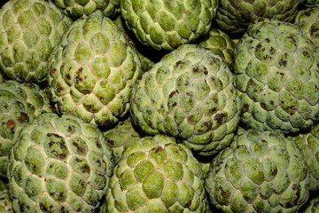 The Custard-apple (Annona reticulata), known in English as bullock's heart or bull's heart, and in Hindi as sitaphal or Sita's fruit,.