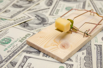 mousetrap with cheese is a close-up on a background of dollars