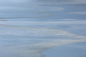 池の氷の模様