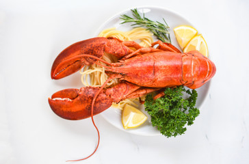 Fresh lobster food on a white plate background - red lobster dinner seafood with herb spices lemon rosemary served table in the restaurant gourmet food healthy boiled lobster cooked salad