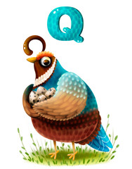 Cute cartoon quail with eggs and with the letter of the alphabet