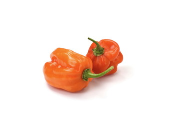 Habanero chilis isolated on white background. Fresh ripe Caribbean Red Habanero hot chili pepper with green stem. 