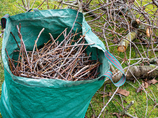 Baumschnitt im Garten Gartenabfälle	