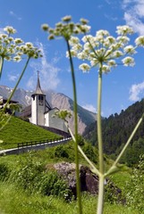 Sommer im Wallis