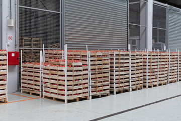 Pallets of Tomato in Food Distribution Warehouse