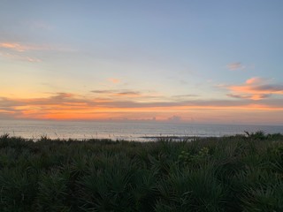 Fototapeta premium sunset over green field