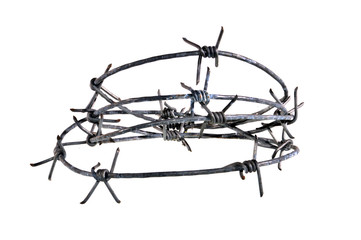 Fototapeta na wymiar barbed wire isolated on white background