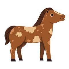 Cute spotted horse on white background