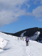 Naklejka na ściany i meble Jeune femme randonneuse en raquette dans la neige en montagne sous le soleil des Pyrénées Orientales de Cerdagne