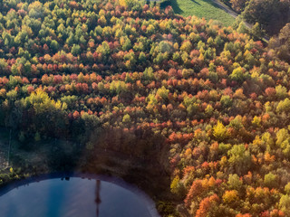 vue aérienne de la forêt à l'automne à Maudétour dans le Val d'Oise en france