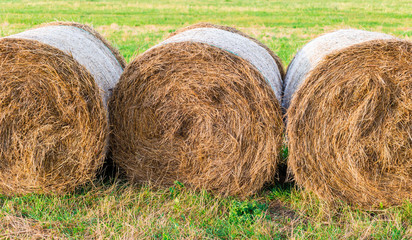 Rural Landscape field meadow with hay bales after Harvest. Hay roll bales on countryside field. Beautiful landscape. Agricultural field.