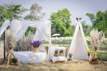 Bouquet of flowers in a decorative pot on the table empty cafe, Filled color filter.