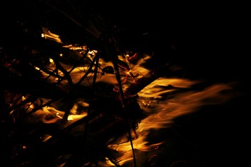 Blazing flames from a bonfire, dark background