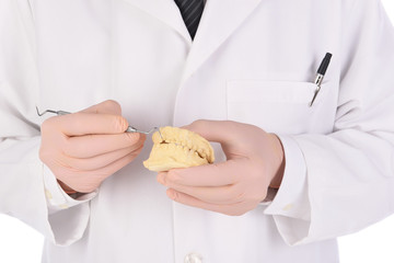 Closeup of a Dentist holding a tooth mold and using a dental pick to point to the broken tooth.