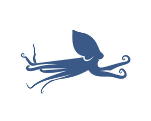 Octopus logo vector template. Isolated octopus design on white background. Illustration
