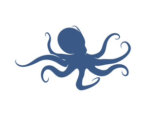 Octopus logo vector template. Isolated octopus design on white background. Illustration © shuttersport