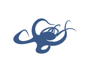 Octopus logo vector template. Isolated octopus design on white background. Illustration