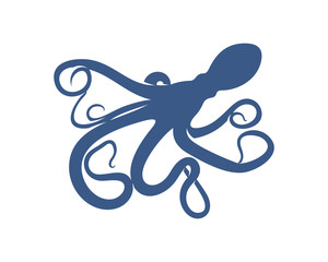 Octopus logo vector template. Isolated octopus design on white background. Illustration © shuttersport
