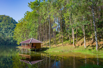 Obraz premium Lake and House, Hut, clear water wir reflection and trees, pine forest, Pang Oung Roum, north of Thailand