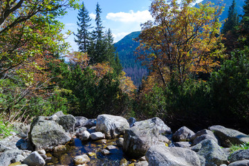 the small river from the mountain