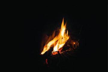 Campfire On A Black Background - 320804679