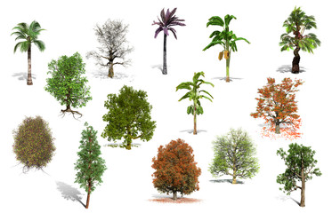 14 best collection of trees isolated on a white background suitable for environment friendly poster ,architectural design, decoration work, natural articles both on print and website.