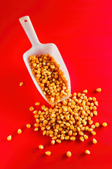Corn maize or kernel spill out from a scoop on wooden kitchen table