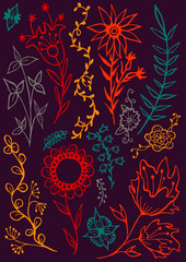 Flowers set contour vector illustration hand drawing on the cover