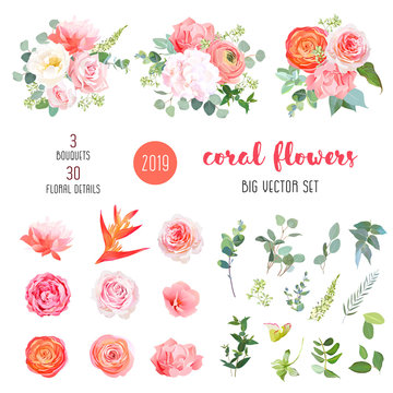 Orange Ranunculus, Pink Rose, Hydrangea, Coral Carnation, Garden Flowers