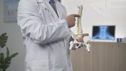 doctor showing a spine model to patient suffering from back pain to explain the disease