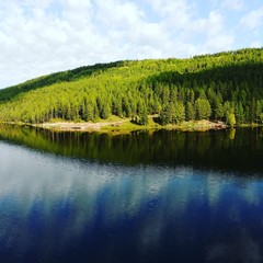 Fototapeta premium lake in forest