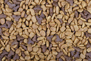 Dry cat food used as background