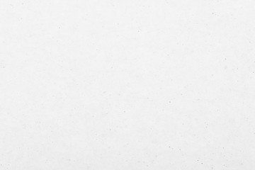 White paper texture used as background
