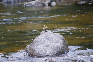 stones in water