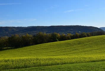 field and nature Autumn landscape around the Schutterlindenberg, Lahr Baden Germany