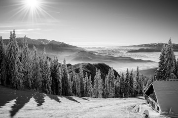 Black and white winter scenery