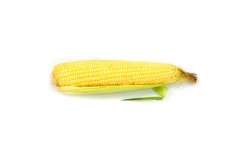 Fresh Single ear of corn isolated on white background