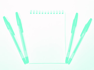 opened notebook paper with pen on white desk, copy space. Aqua Menthe