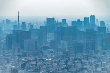 dust during daytime in a very polluted city - in this case Tokyo, Japan. Cityscape of buildings with bad weather from Fine Particulate Matter. Air pollution.