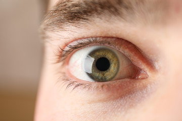 Beautiful mans green eye, closeup. Macro. Healthcare and medical concept