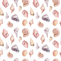 Seamless pattern with sea shells in watercolor