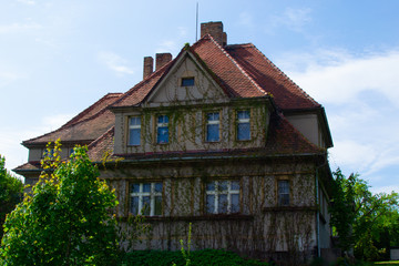 Fototapeta na wymiar Typical country czech house decorated with climbing plants in a rural town