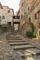 Fototapeta na wymiar anghiari passaggio tipico con scala in pietra nel borgo antico vista ravvicinata