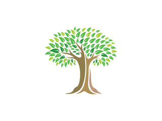 Fototapeta premium Nature tree logo template design, emblem, symbol or icon