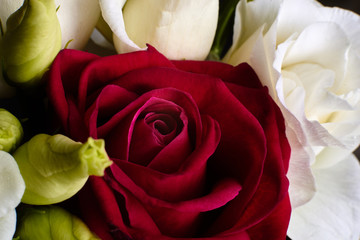 White and red rose in a bouquet close-up. Floral design.